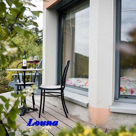 Appartements 5 Personnes Maya Et Louna Xonrupt-Longemer Εξωτερικό φωτογραφία