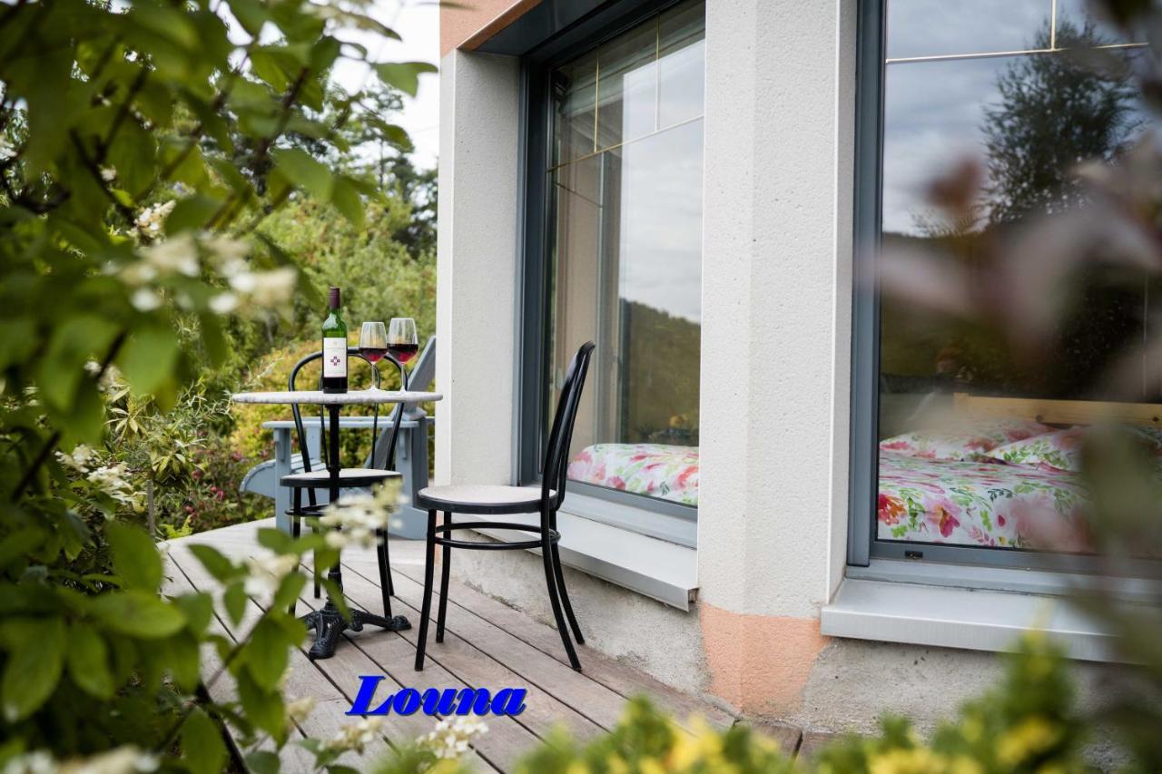 Appartements 5 Personnes Maya Et Louna Xonrupt-Longemer Εξωτερικό φωτογραφία