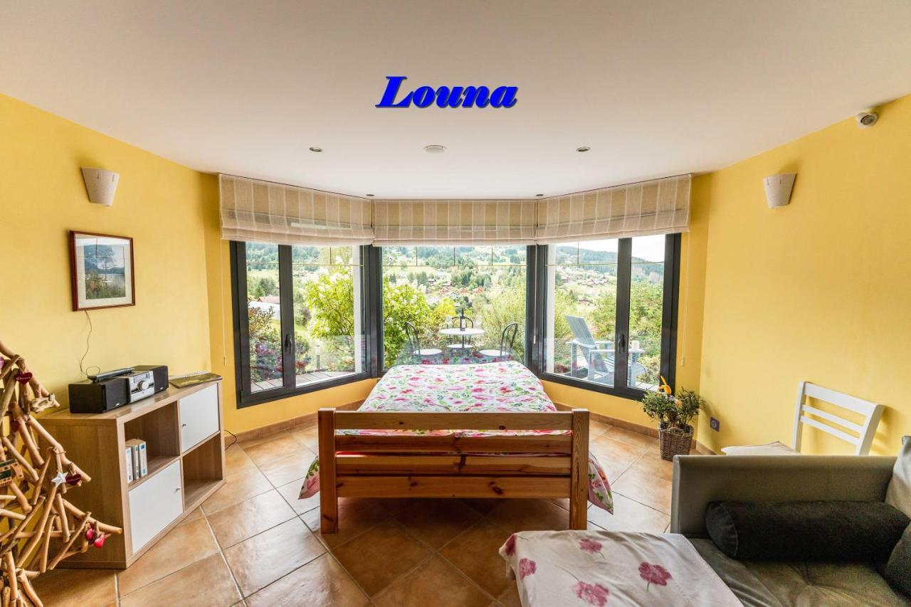 Appartements 5 Personnes Maya Et Louna Xonrupt-Longemer Εξωτερικό φωτογραφία