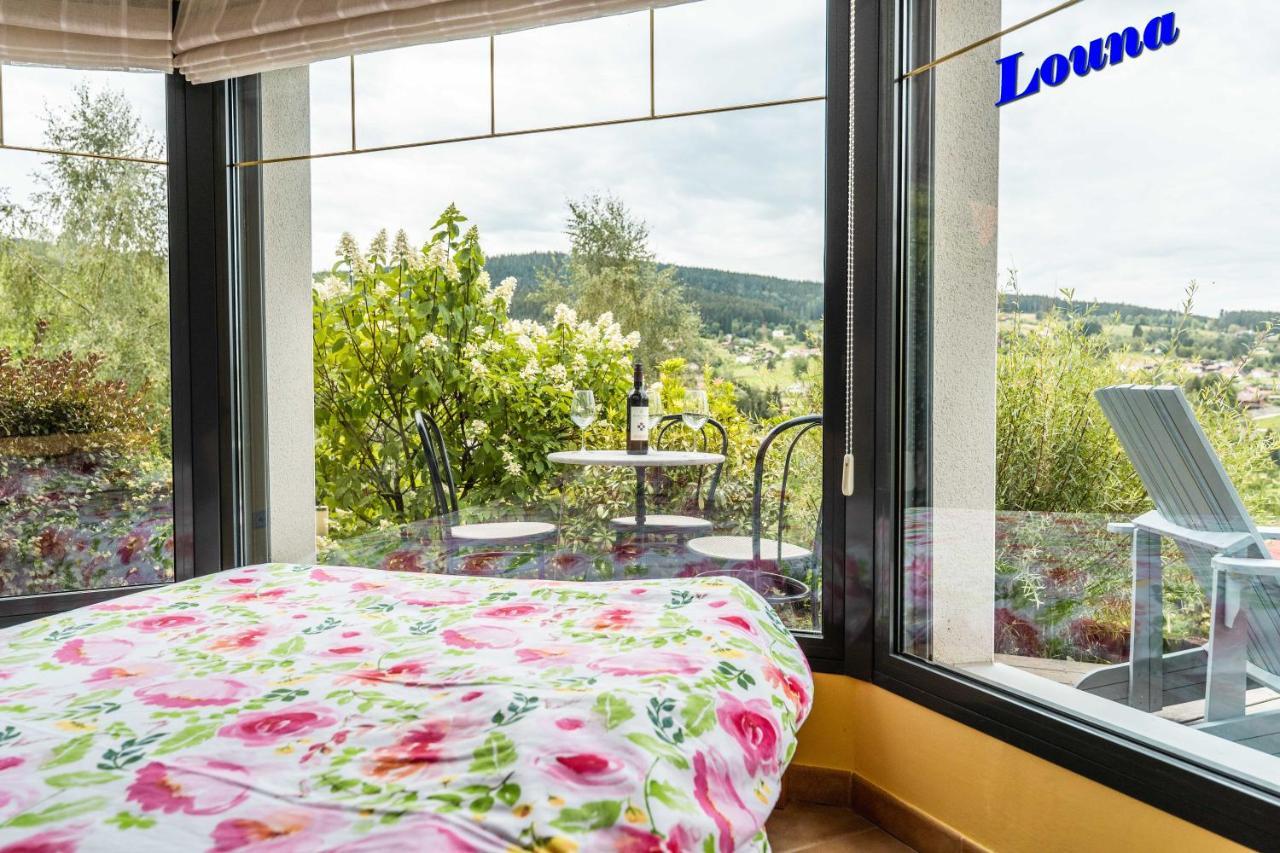 Appartements 5 Personnes Maya Et Louna Xonrupt-Longemer Εξωτερικό φωτογραφία