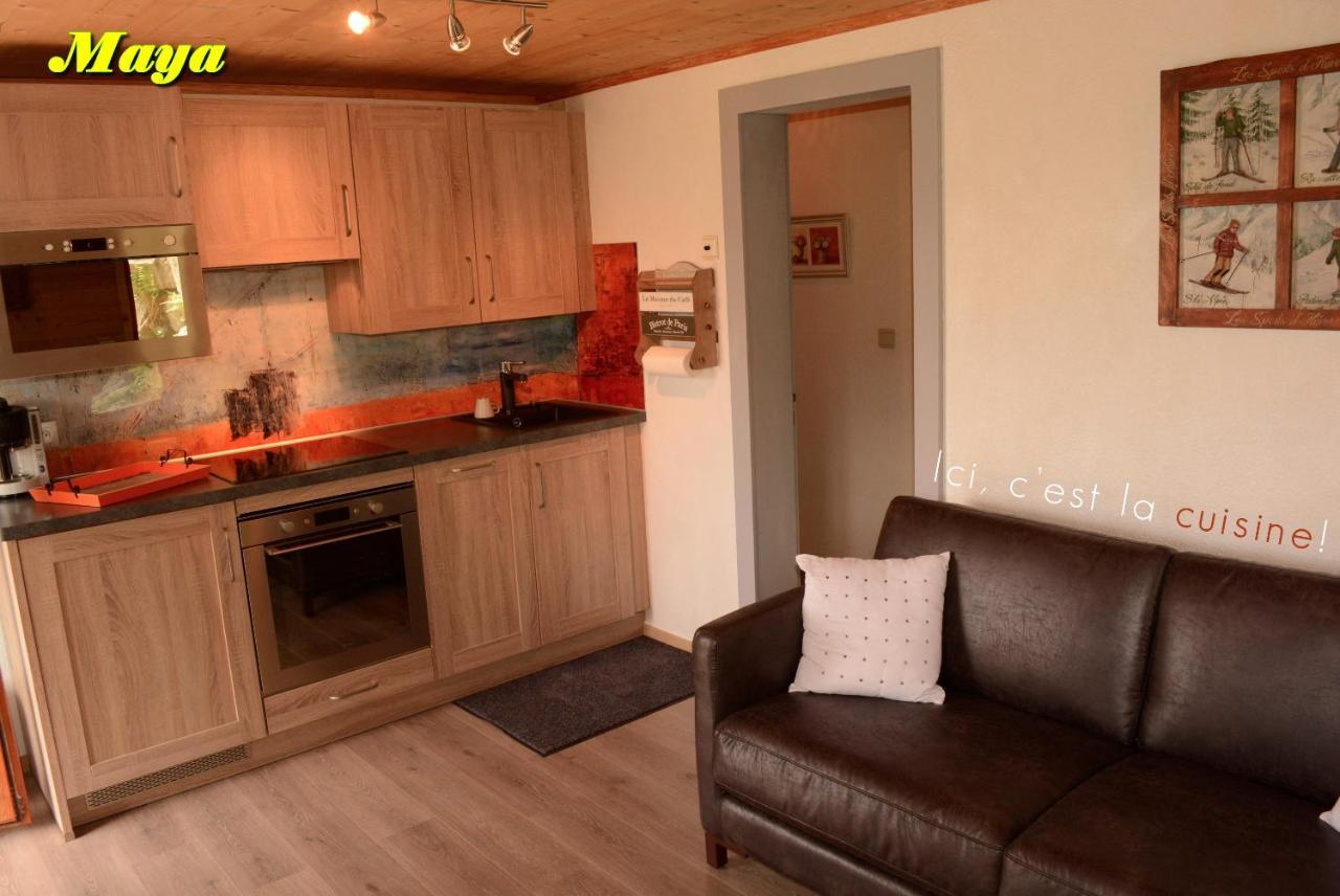 Appartements 5 Personnes Maya Et Louna Xonrupt-Longemer Εξωτερικό φωτογραφία