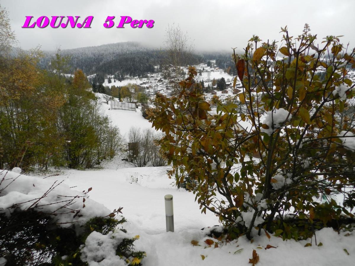 Appartements 5 Personnes Maya Et Louna Xonrupt-Longemer Εξωτερικό φωτογραφία