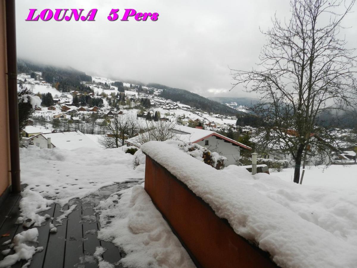 Appartements 5 Personnes Maya Et Louna Xonrupt-Longemer Εξωτερικό φωτογραφία
