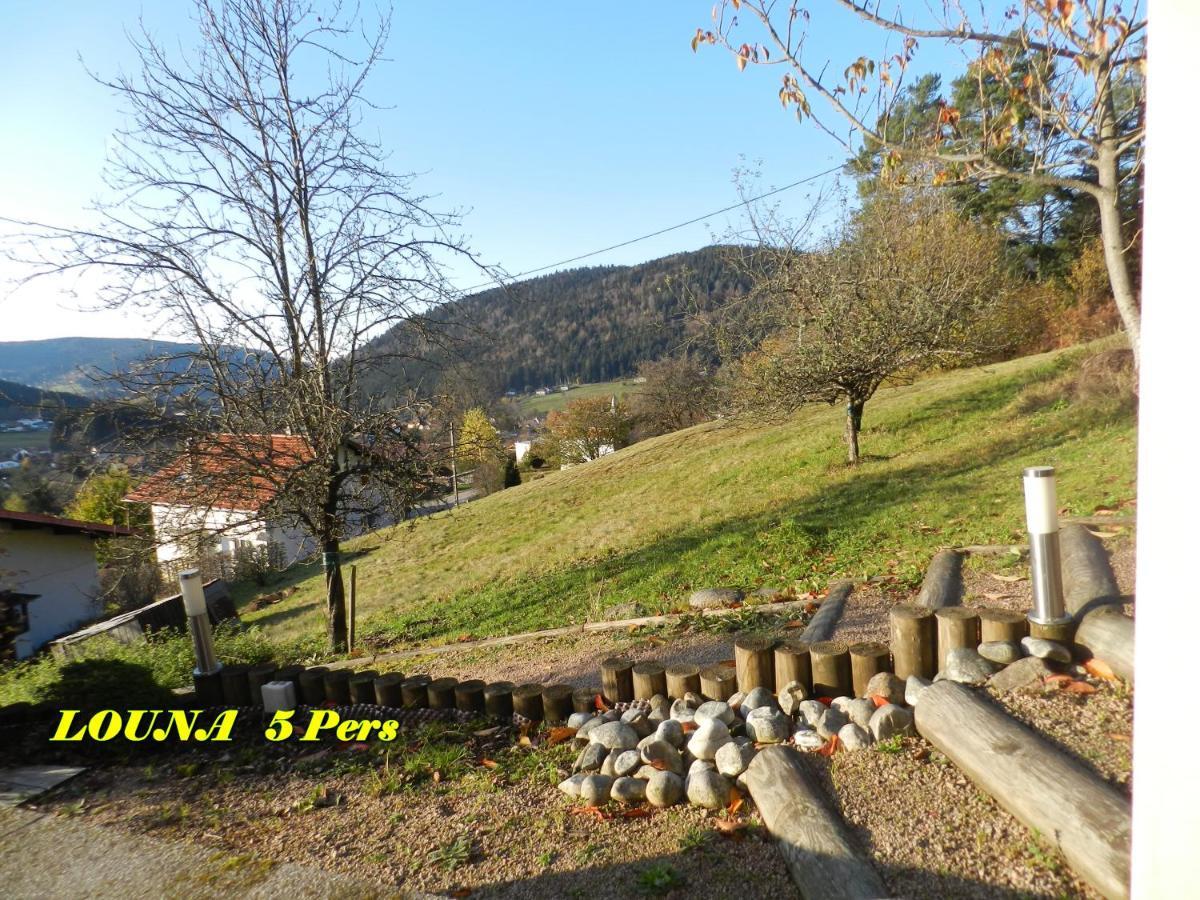 Appartements 5 Personnes Maya Et Louna Xonrupt-Longemer Εξωτερικό φωτογραφία